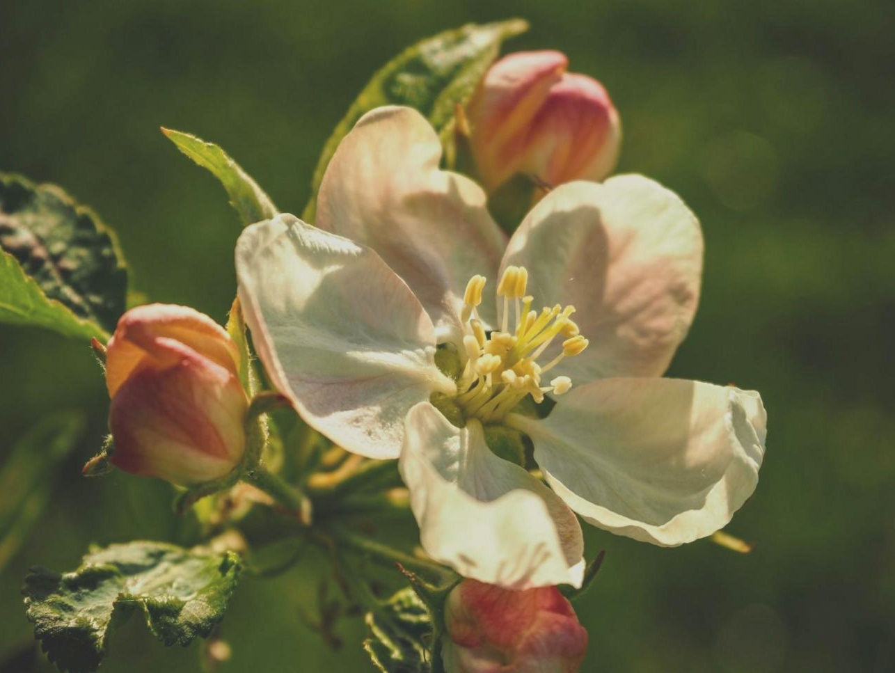 Parallele Floristik – Arrangement mit strukturierten Stielen in gleichmäßiger Ausrichtung